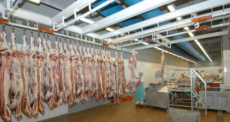 Дезинсекция на мясокомбинате в Фрязево, цены на услуги