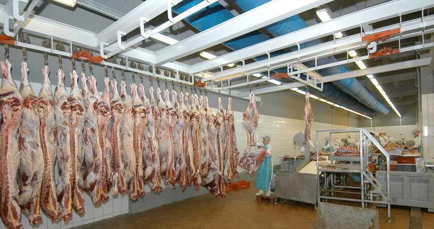 Дезинсекция на мясокомбинате в Фрязево, цены на услуги